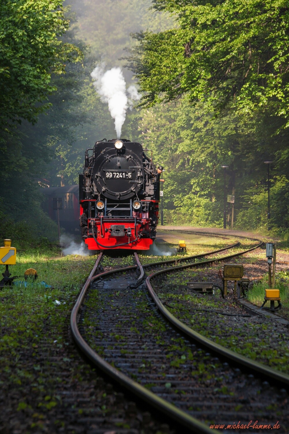 Die Brockenbahn im Bahnhof Steinerne Renne