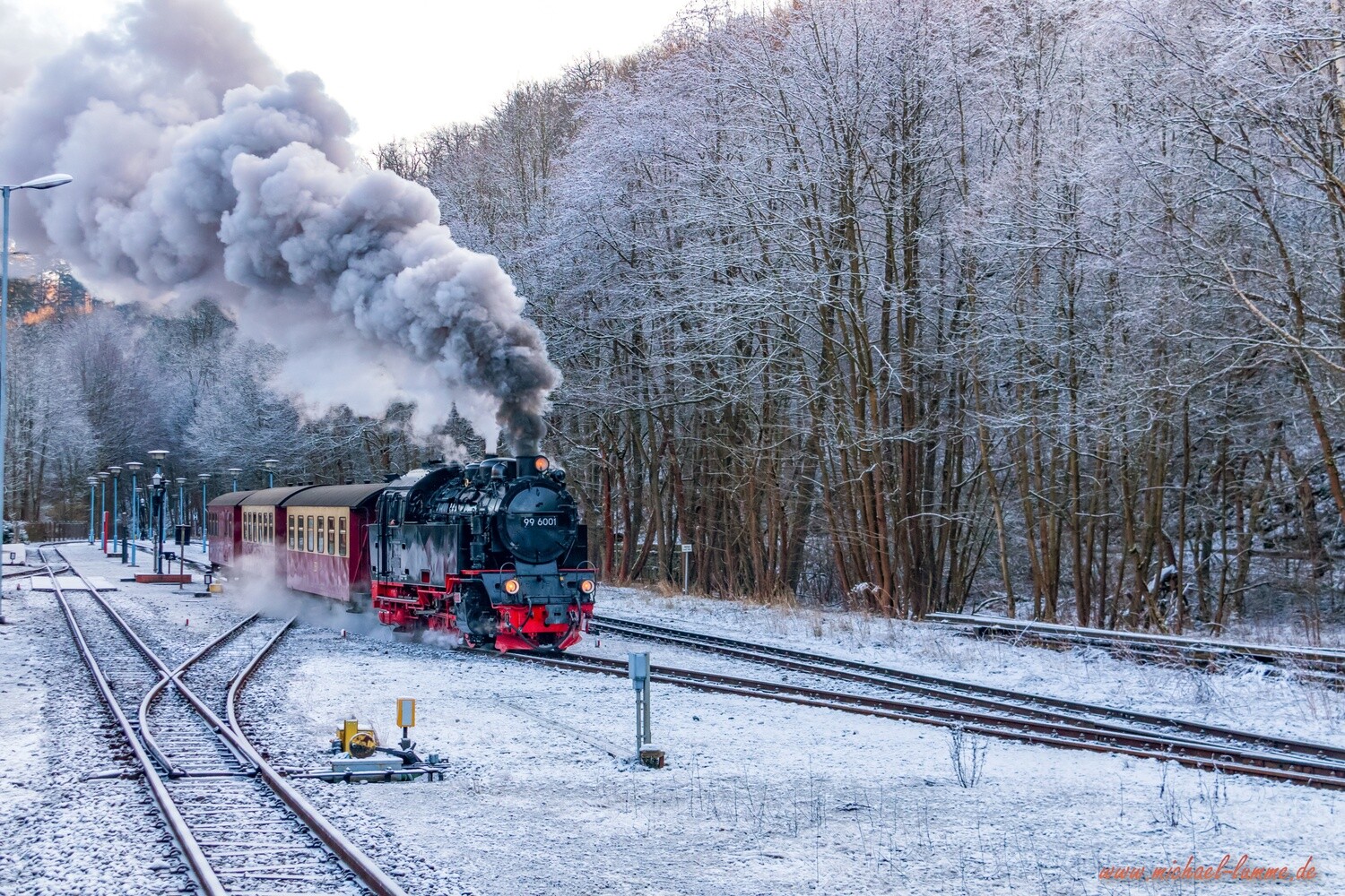 Die Selketalbahn im Bahnhof Alexisbad