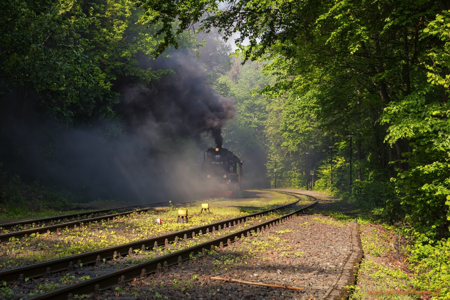 Die Brockenbahn im Bahnhof Steinerne Renne