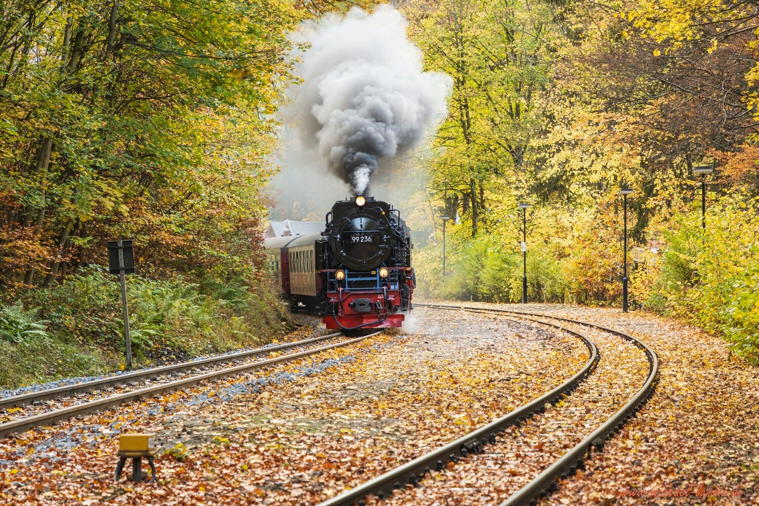Die Brockenbahn im Bahnhof Steinerne Renne
