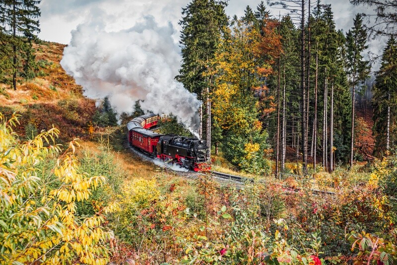 Die Brockenbahn der Harzer Schmalspurbahn