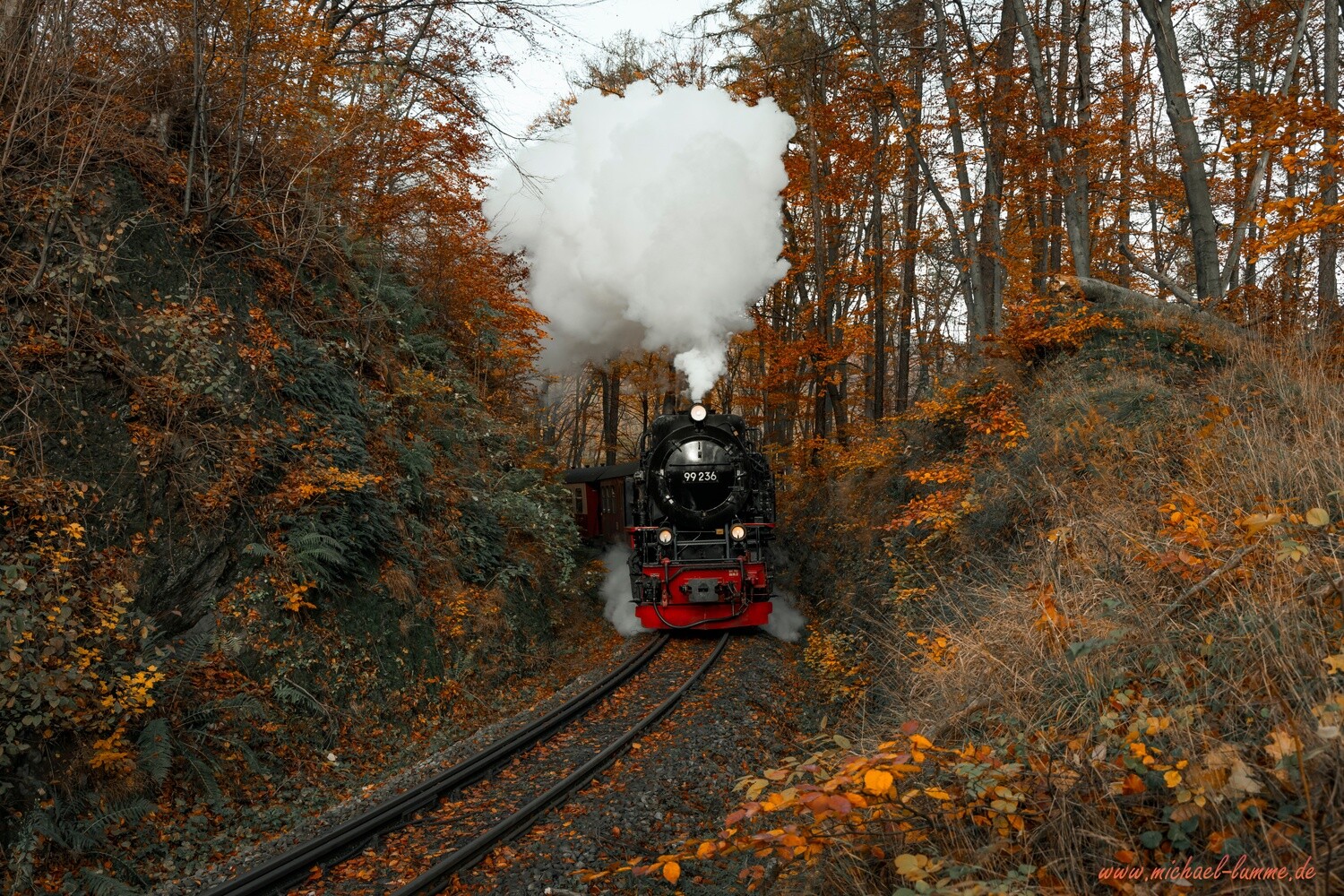 Die Brockenbahn der Harzer Schmalspurbahn