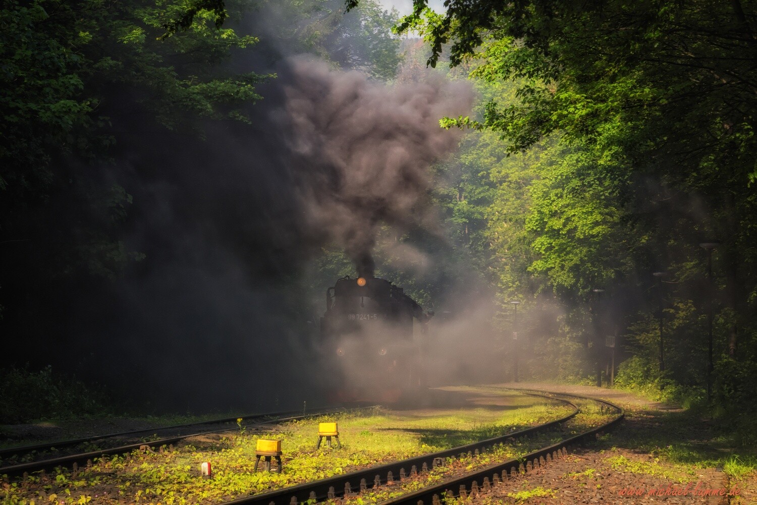 Die Brockenbahn im Bahnhof Steinerne Renne