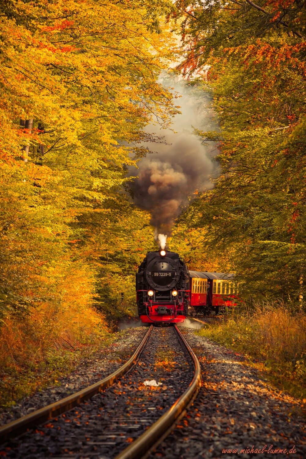 Die Brockenbahn der Harzer Schmalspurbahn