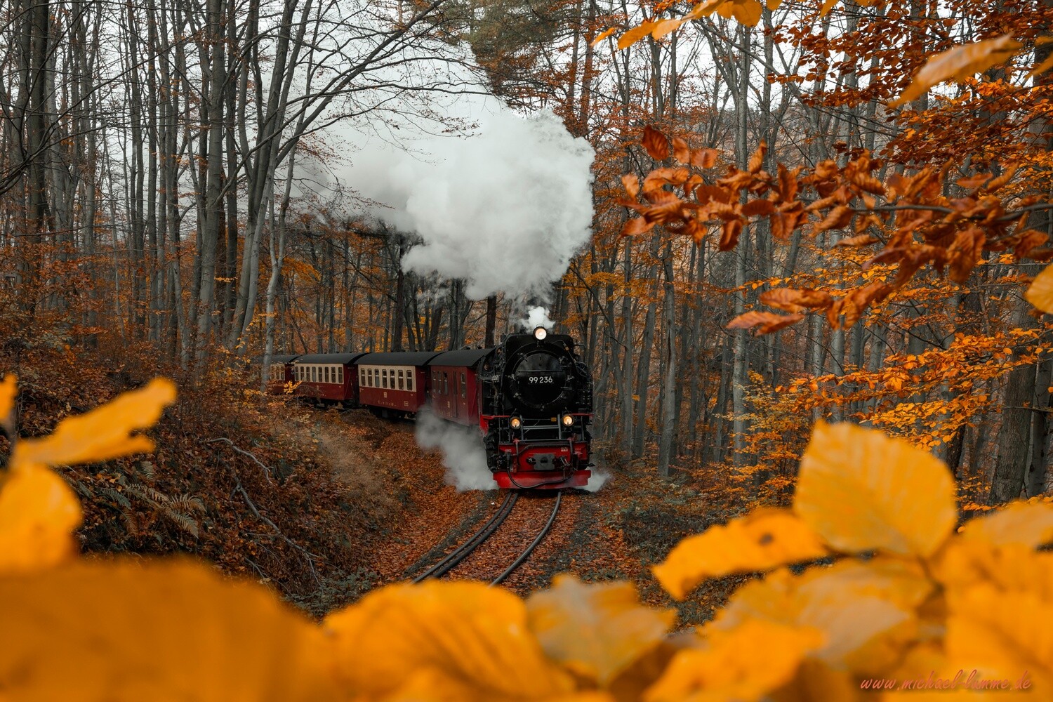 Die Brockenbahn der Harzer Schmalspurbahn