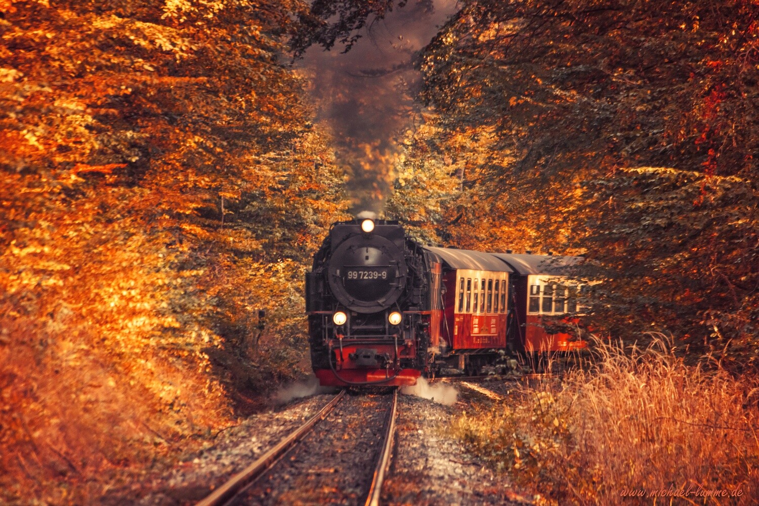 Die Brockenbahn der Harzer Schmalspurbahn