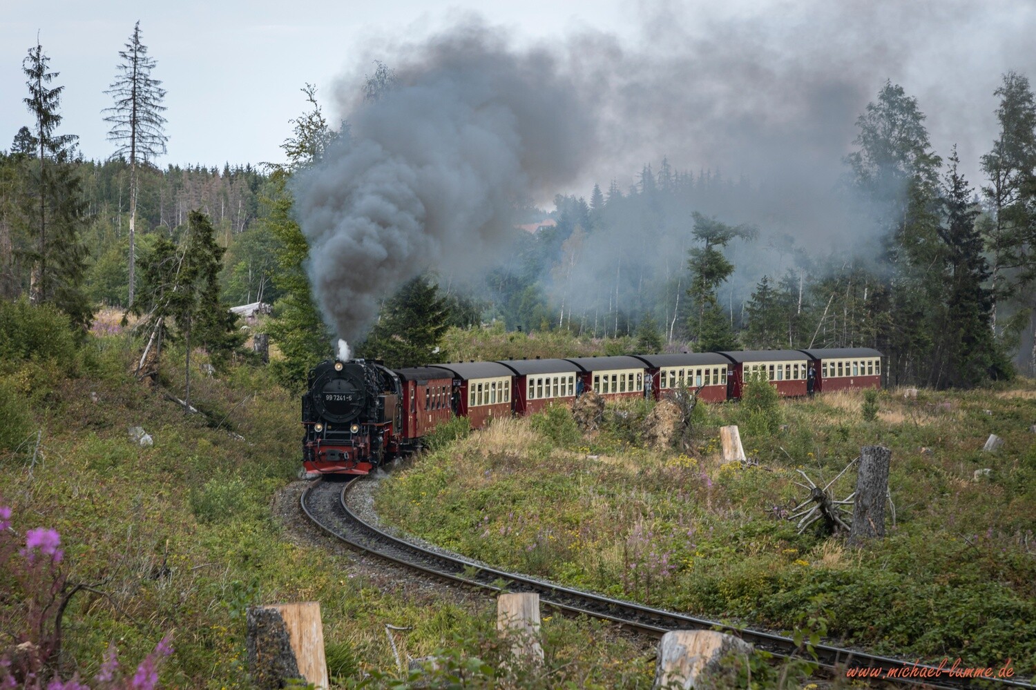 Die Brockenbahn der Harzer Schmalspurbahn