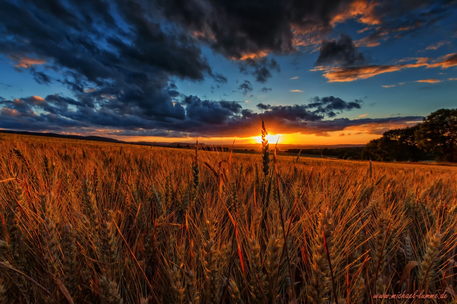 Sonnenuntergang zwischen Eckertal und Bad Harzburg