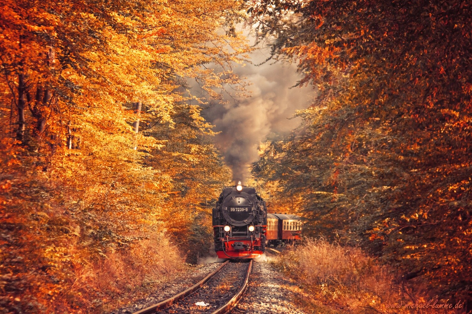 Die Brockenbahn der Harzer Schmalspurbahn