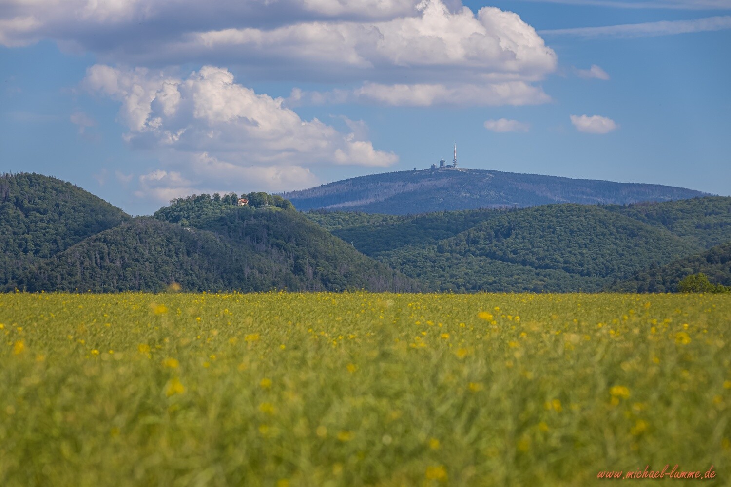 Der Burgberg Bad Harzburg und der Brocken