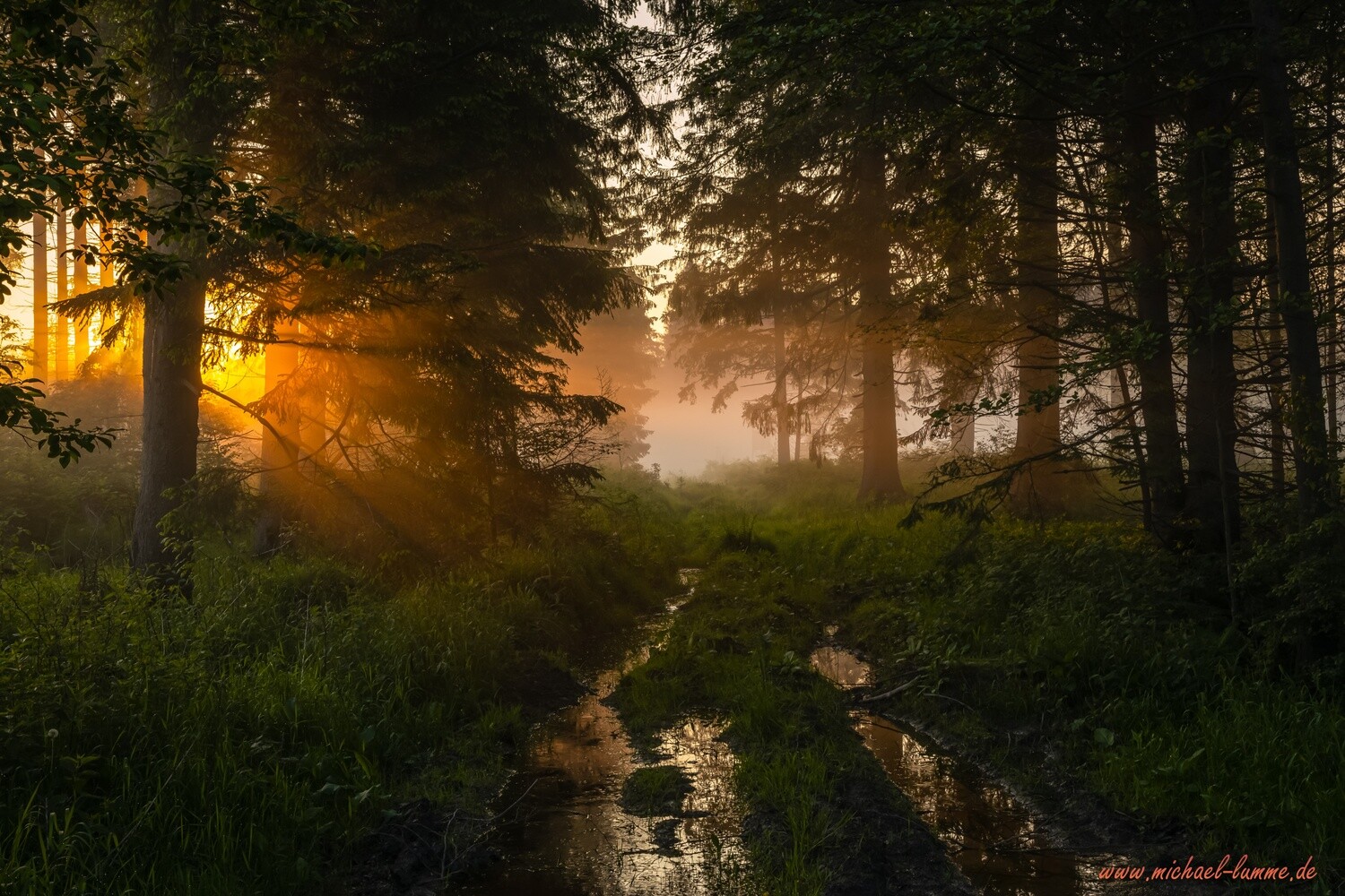 Sonnenaufgang am Huneberg