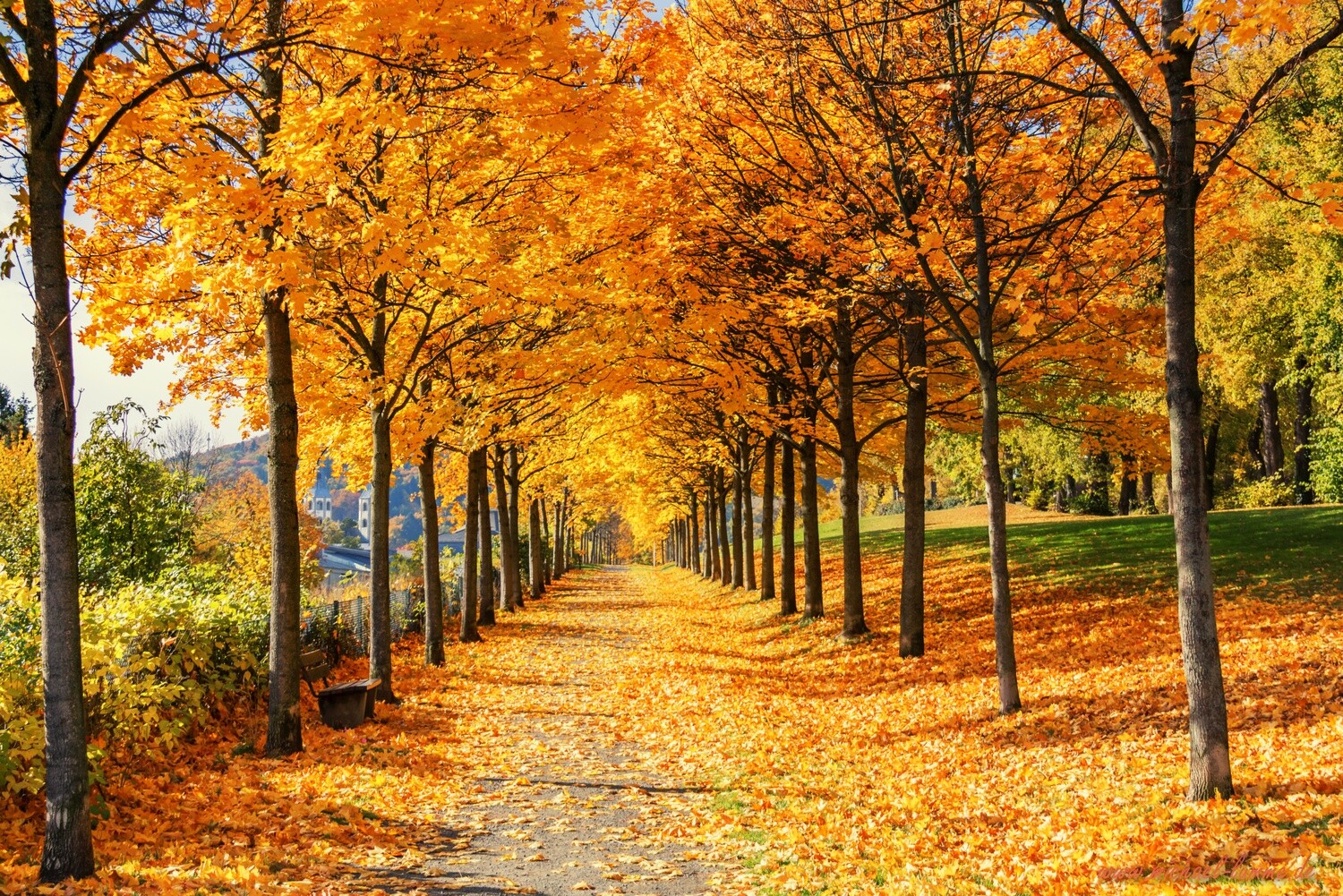 Herbst in Goslar