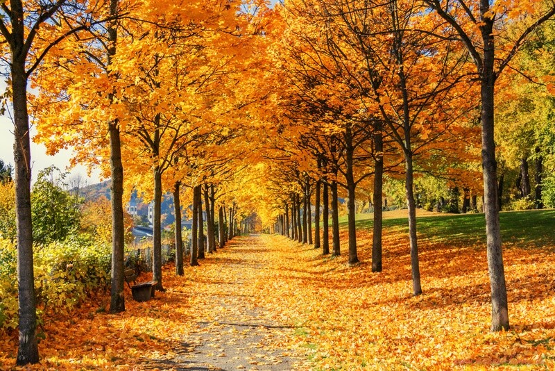 Herbst in Goslar