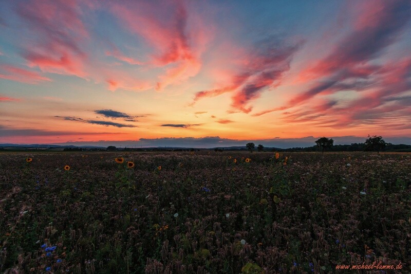 Sonnenuntergang bei Lochtum