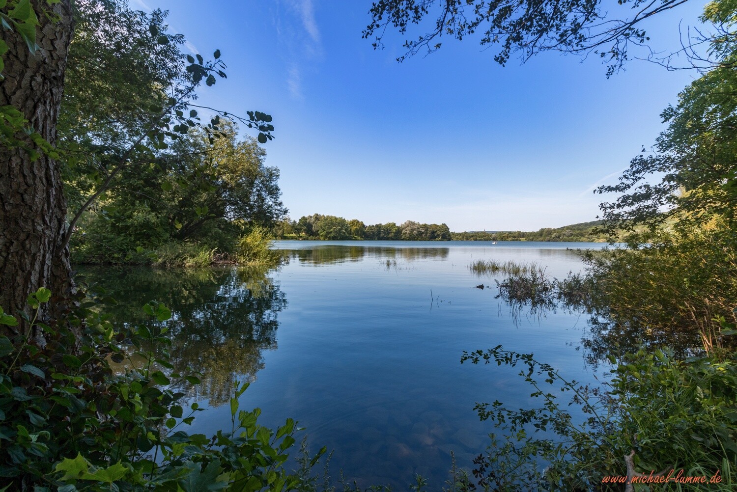 Der Vienenburger See