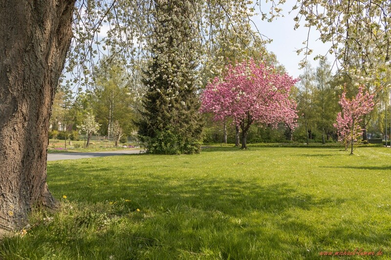 Seesen im Frühling