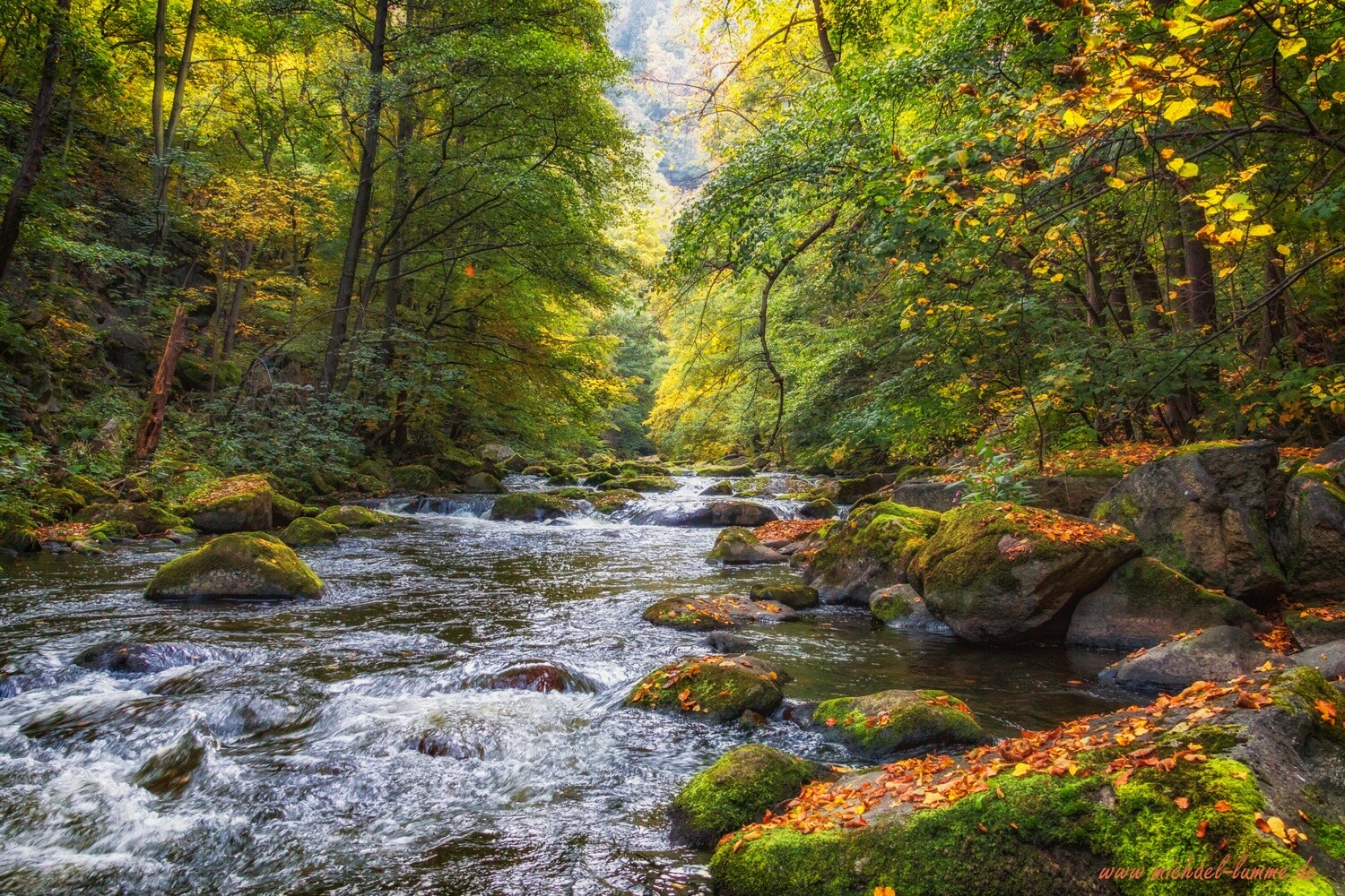 Die Bode im Bodetal