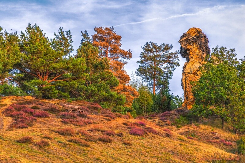 Der Kamelfelsen bei Westerhausen