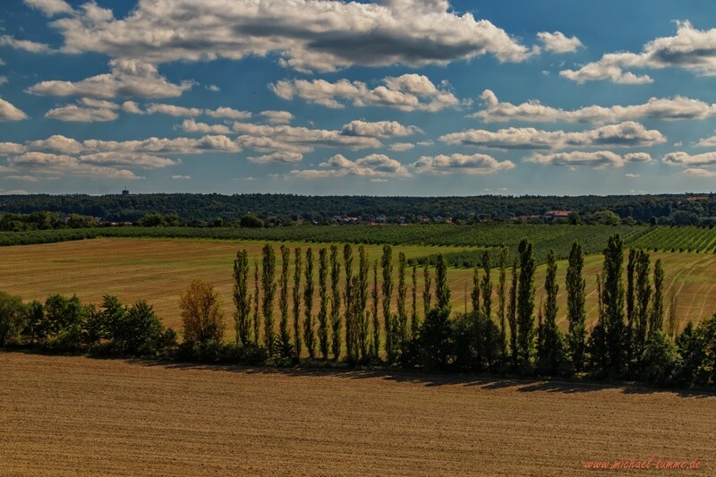 Die Gegensteine bei Ballenstedt