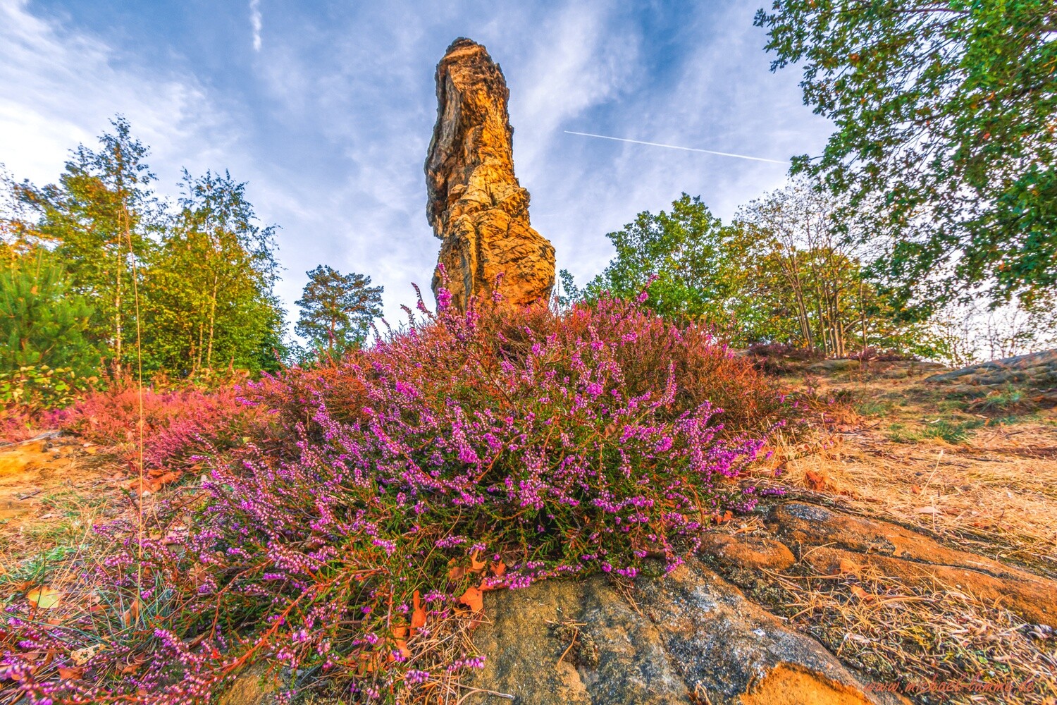 Der Kamelfelsen bei Westerhausen