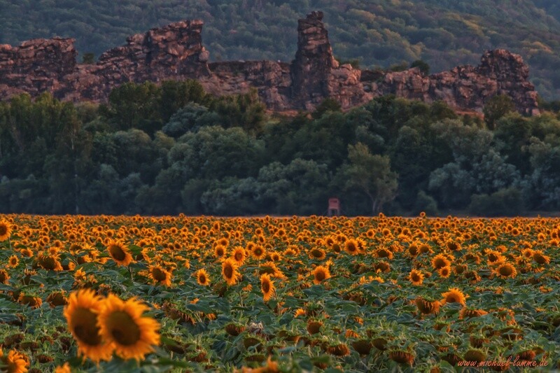 Blick auf die Königssteine