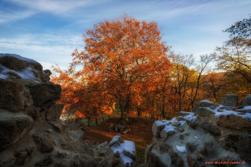 Die Burgruine Lauenburg bei Stecklenberg