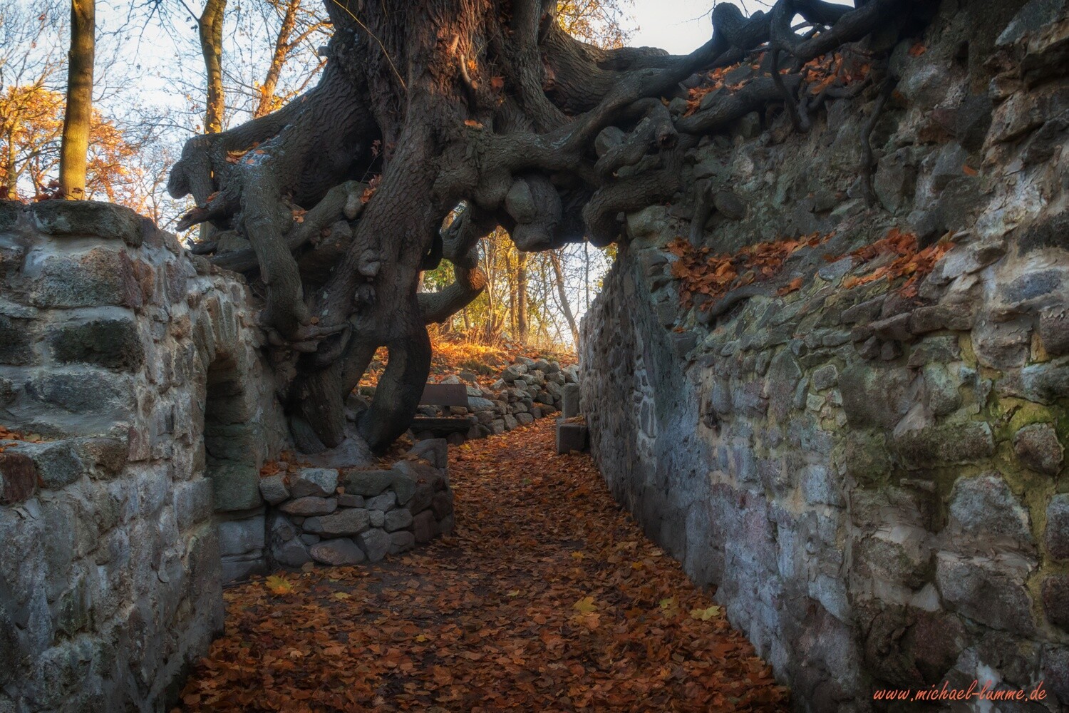 Die Burgruine Lauenburg bei Stecklenberg
