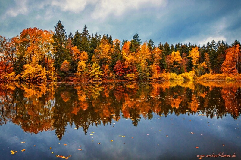 Bergrat-Müller-Teich