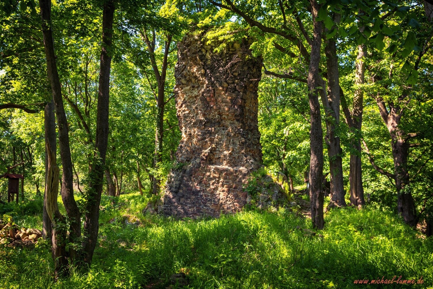 Die Burgruine Lauenburg bei Stecklenberg