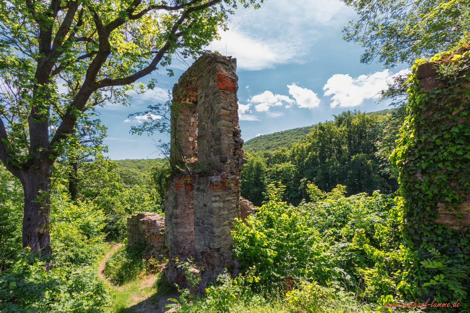 Die Stecklenburg bei Stecklenberg