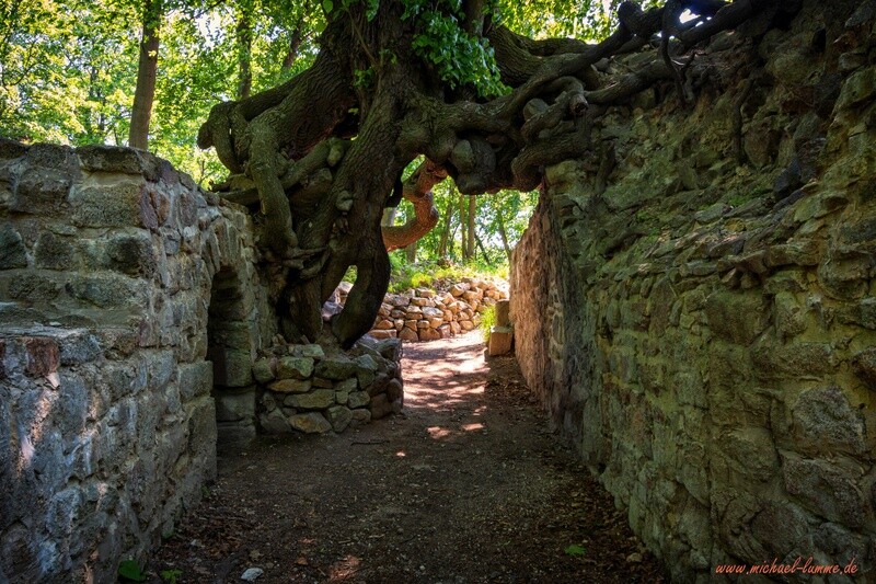 Die Burgruine Lauenburg bei Stecklenberg