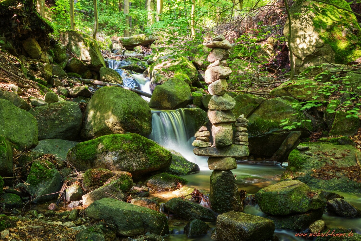 Das Wurmbachtal bei Stecklenberg