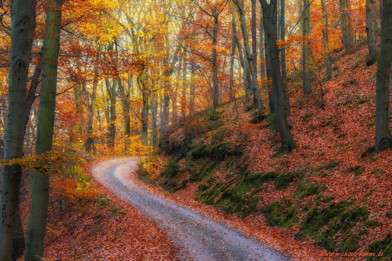 Das Wurmbachtal bei Stecklenberg