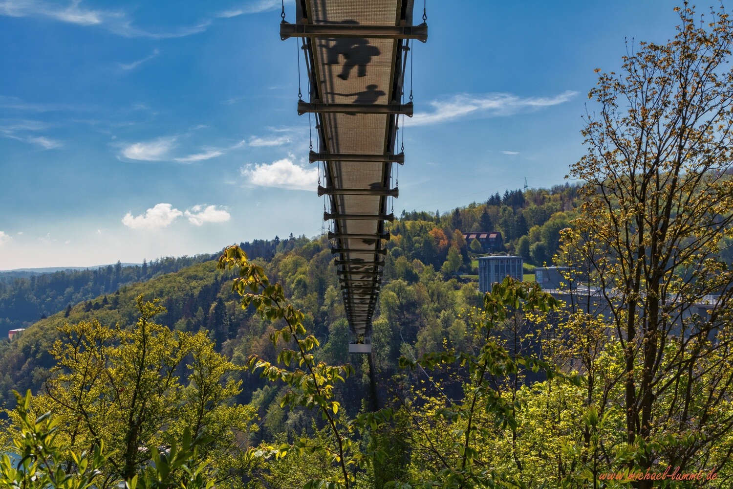 Harzdenalin an der Rappbodetalsperre