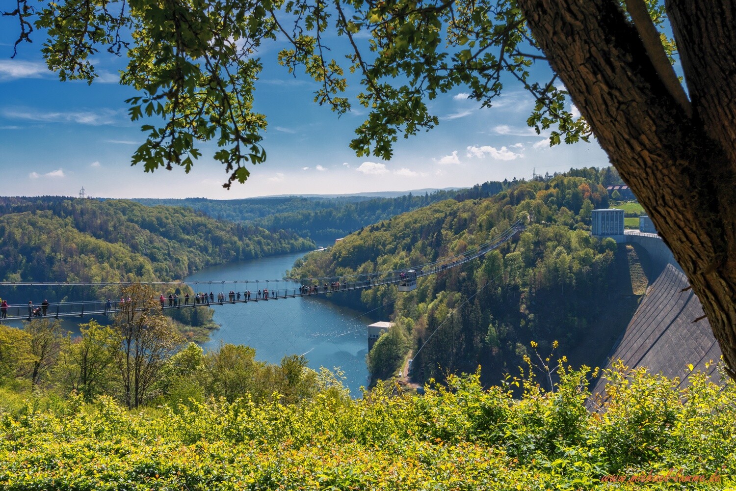 Harzdenalin an der Rappbodetalsperre