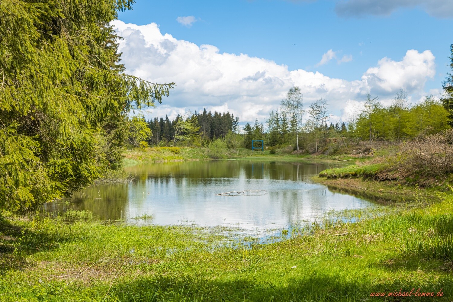 Der Entensumpf bei Clausthal-Zellerfeld