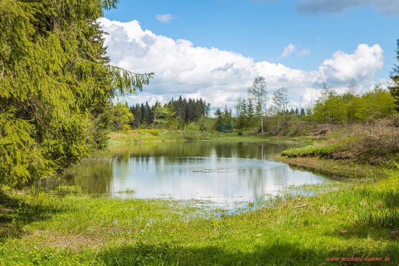 Der Entensumpf bei Clausthal-Zellerfeld