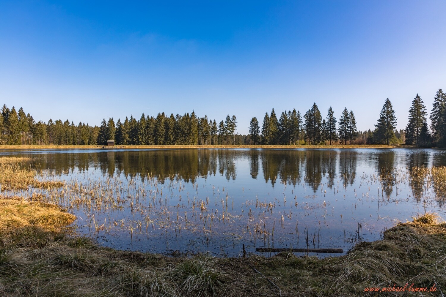 Der Fortuner Teich bei Clausthal-Zellerfeld