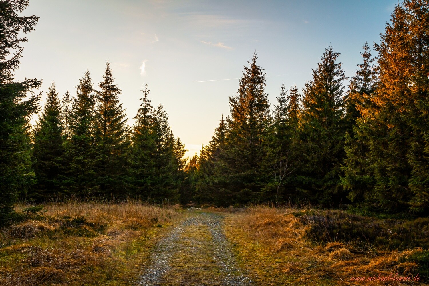 An der Hammersteinklippe bei Clausthal-Zellerfeld