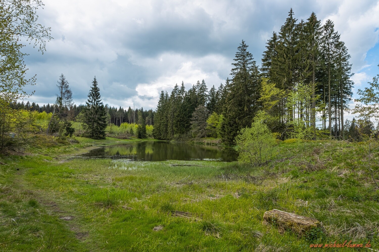 Der Entensumpf bei Clausthal-Zellerfeld