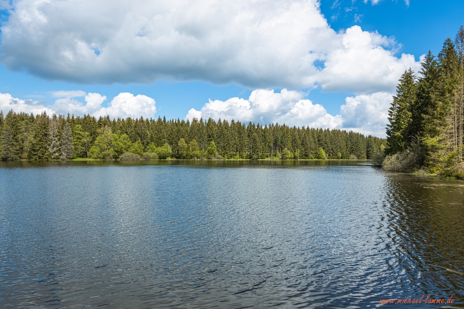 Der Nassenwieser Teich bei Clausthal-Zellerfeld