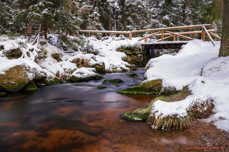 Am und um den Oderteich