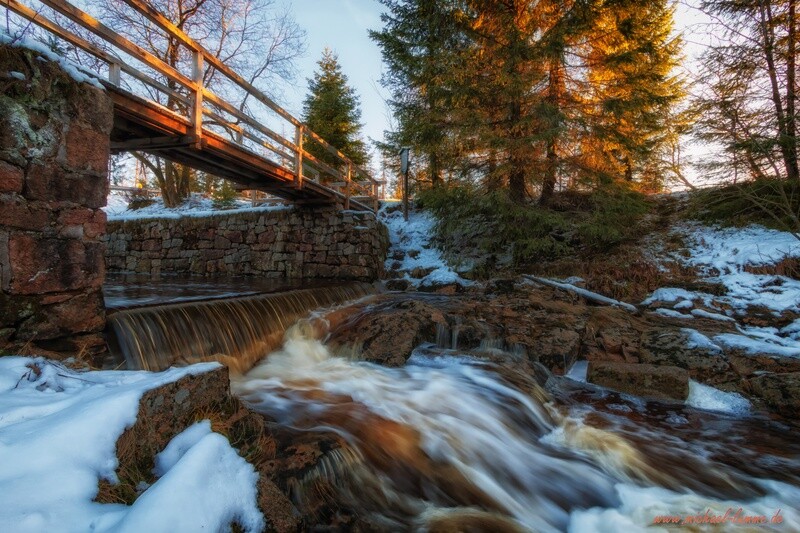 Am und um den Oderteich