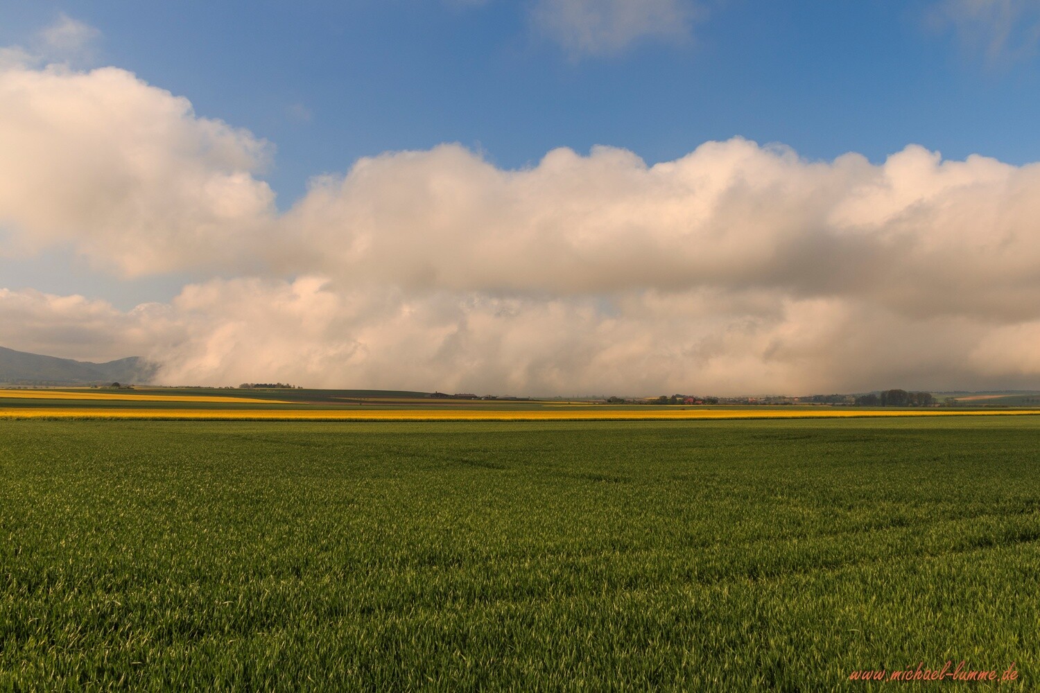Zwischen Abbenrode und Lochtum