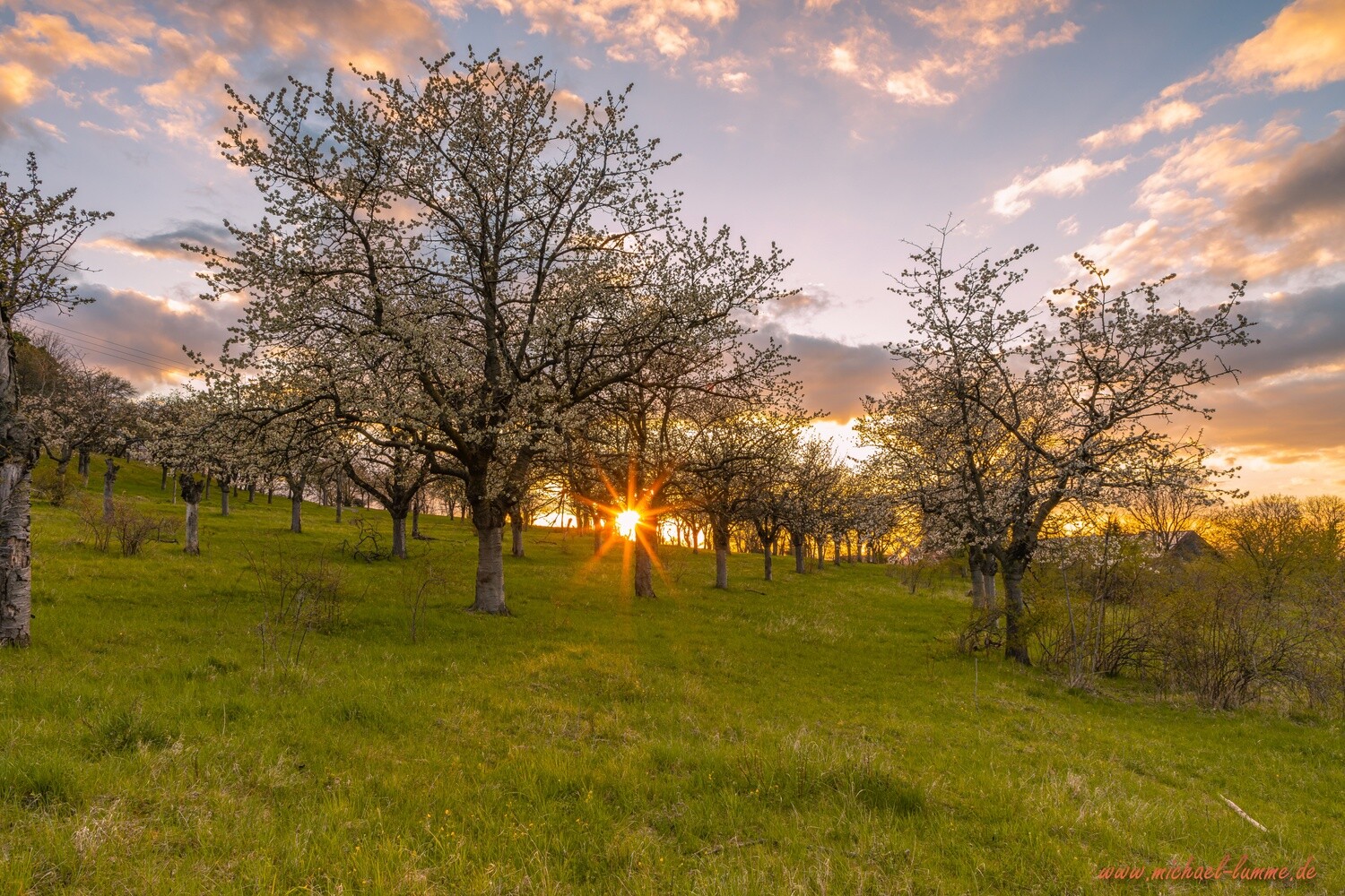 Der Burgberg Stapelburg
