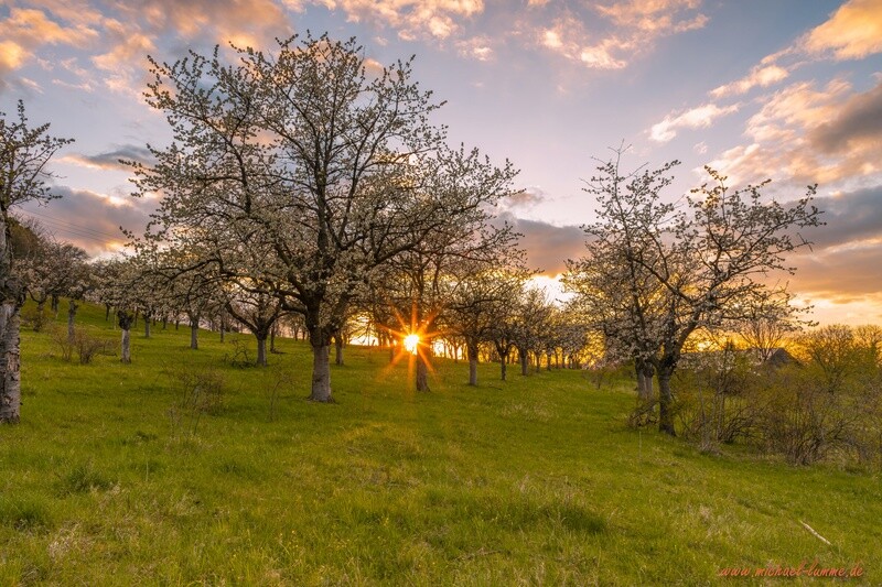 Der Burgberg Stapelburg