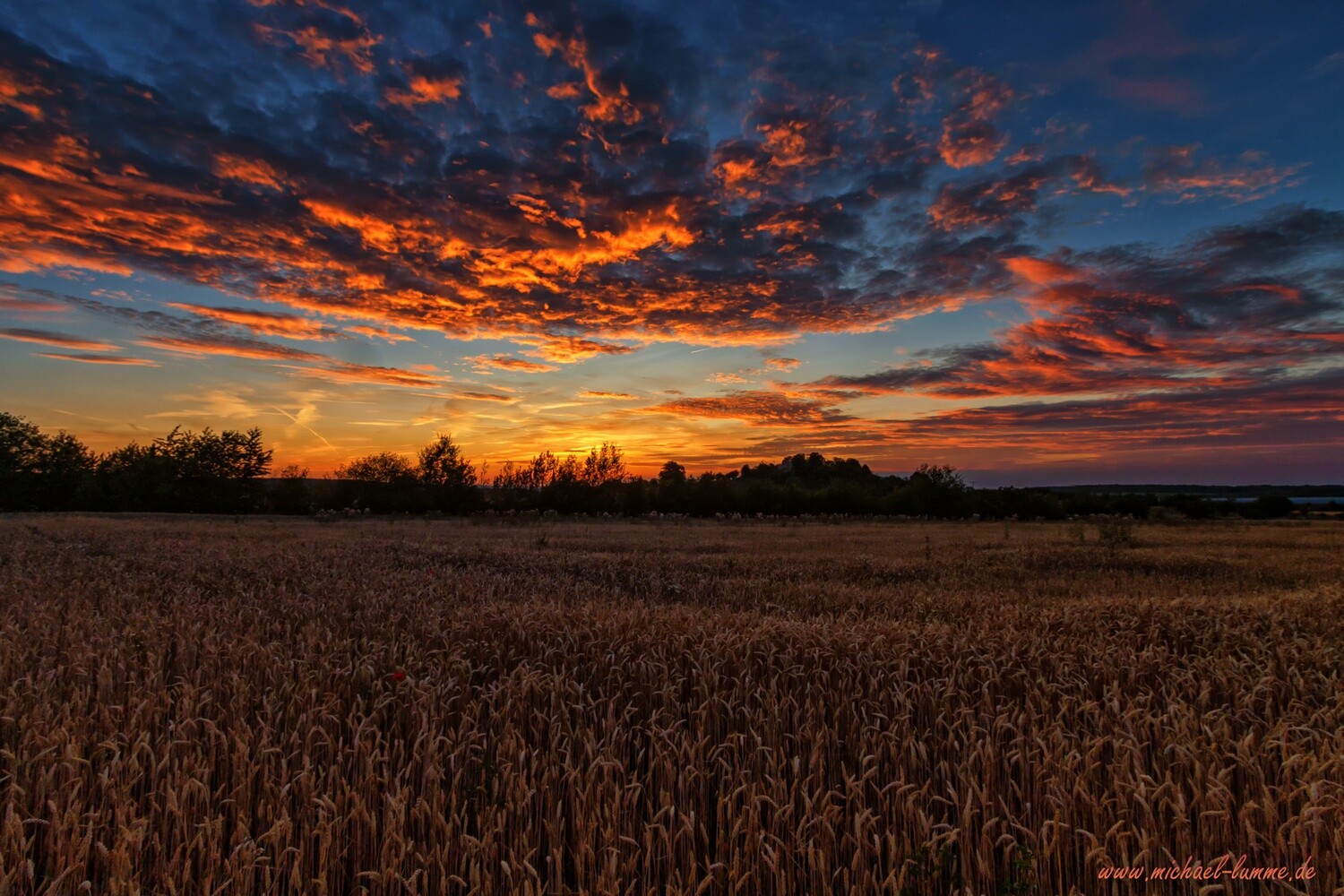 Der Burgberg Stapelburg