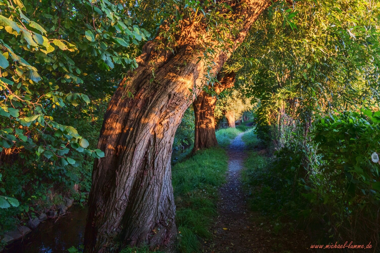 Auf dem Mühlenwanderweg in Abbenrode
