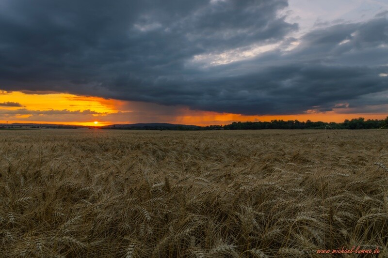 Zwischen Abbenrode und Lochtum