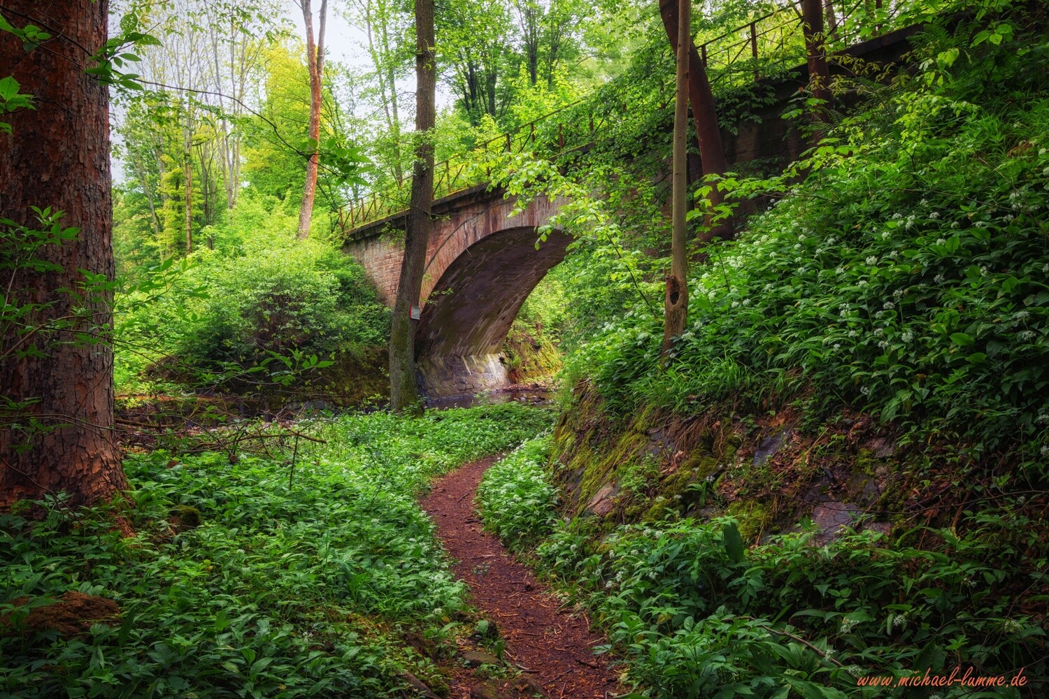 Der Grenzwanderweg im Eckertal